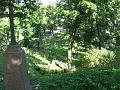 IMG_1142